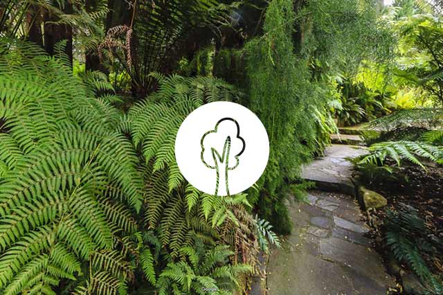Royal Tasmanian Botanical Gardens, 360 degree content