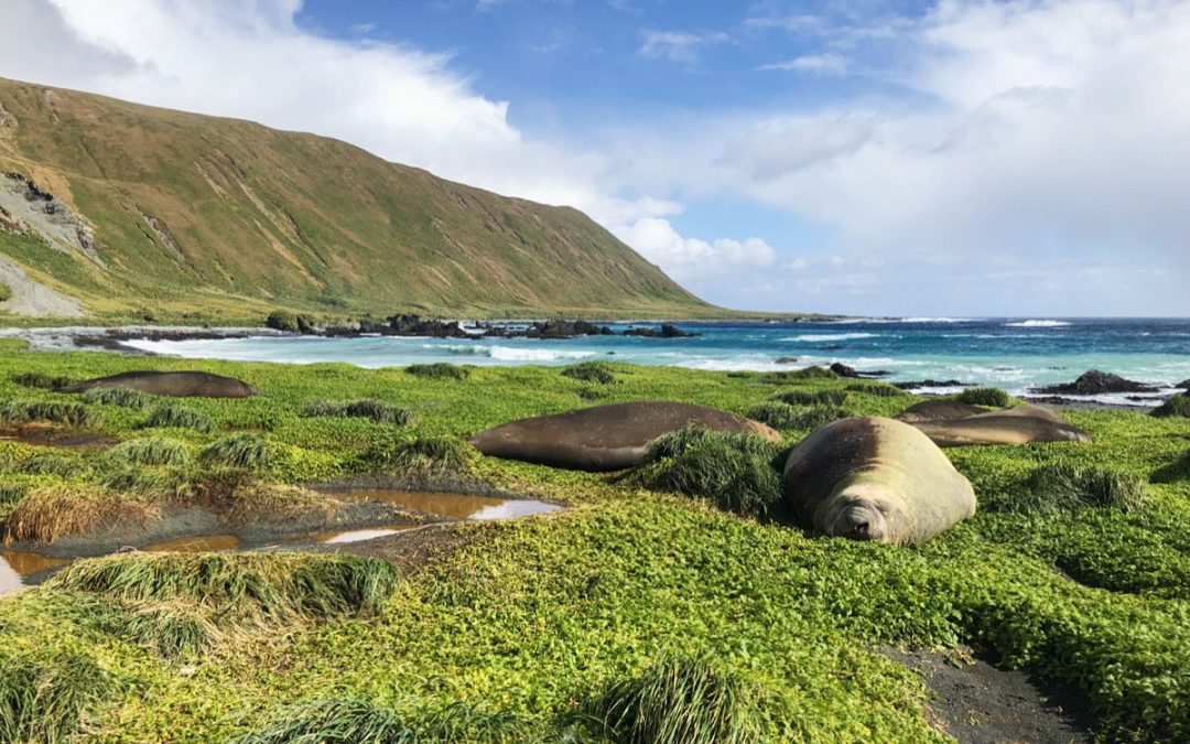 Now live: Virtual tour of Macquarie Island Research Station